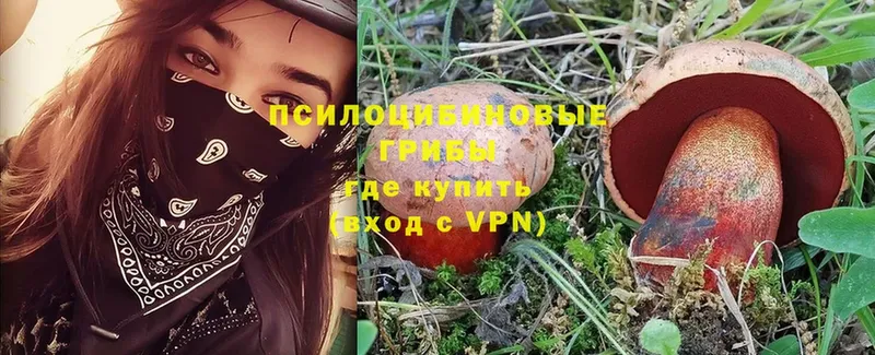 Галлюциногенные грибы Magic Shrooms Нестеров